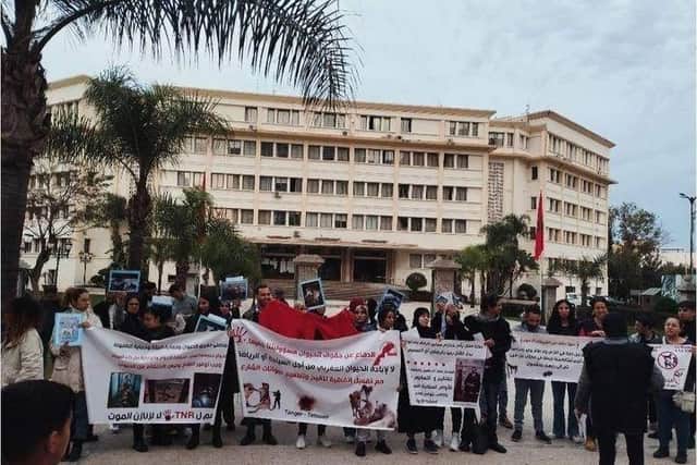 A recent protest in Marrakech - Animal News Agency