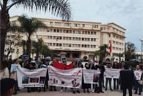 A recent protest in Marrakech - Animal News Agency