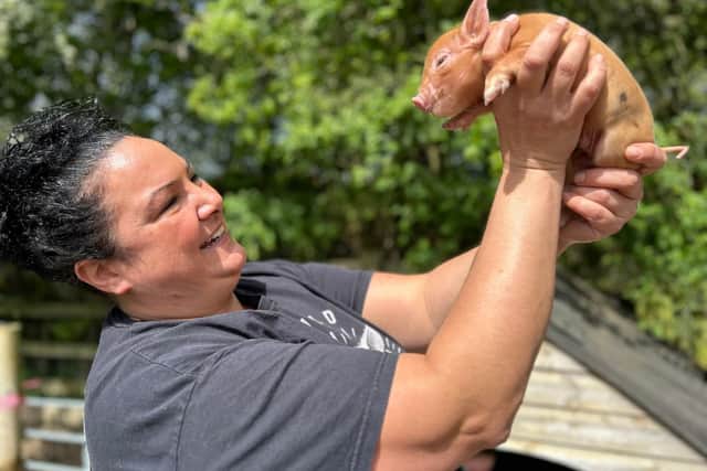 Olivia Mikhail has plenty of advice for Londoners considering a mini pig