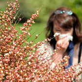 A woman blows her nose as the return of pleasant weather marks the arrival of allergenic pollen