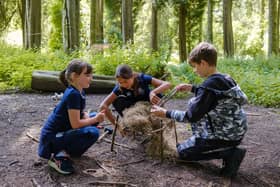 Onsite Forest School sessions