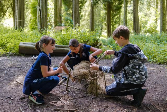 Onsite Forest School sessions