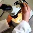 A student looks at matter under a microscope