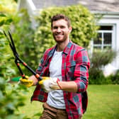 Sixty-three per cent of UK gardeners play music to their plants, research found (photo: Adobe)