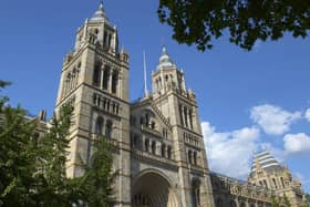 Natural History Museum.