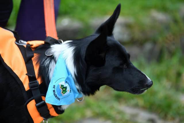 Get walking this September with the YHA Festival of Walking