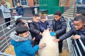 Pupils from Pakeman Primary School with Gary the ram.