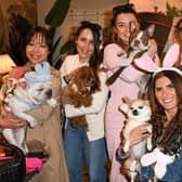 Author Yasmin El-Saie and pawty guests