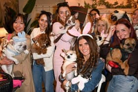 Author Yasmin El-Saie and pawty guests