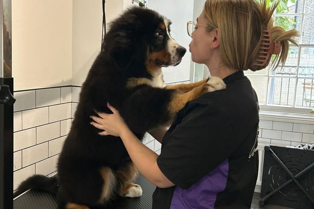 Oscar during one of his first visits to MJC