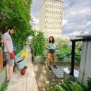 Growers get stuck in at Cranbrook Community Food Garden, which is hosting events for the Tower Hamlets Power of Food Festival, 18-28 September 2025, organised by Just FACT