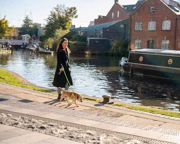 Over three quarters (77%) of owners and their pooches are bored of doing the same walk: Rover reveals the best ‘treat walks’ for the bank holiday weekend