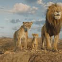 Afia (voiced Anika Noni Rose), Young Mufasa (voiced by Braelyn Rankins) and Masego (voiced by Keith David) in Disney’s Mufasa: The Lion King.  Photo courtesy of Disney.