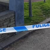Police are hunting a gunman who shot the two males dead in Henley Road, Ilford. 